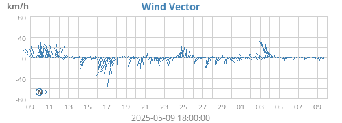 Wind Vector